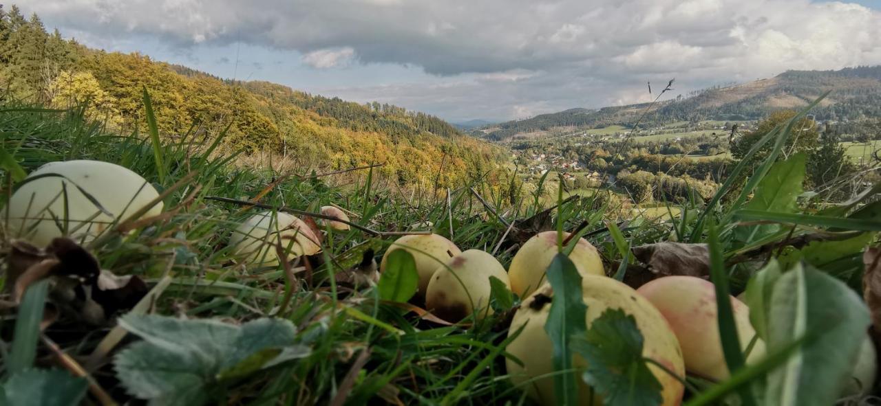 Penzion Rzehaczek Долни-Ломна Экстерьер фото