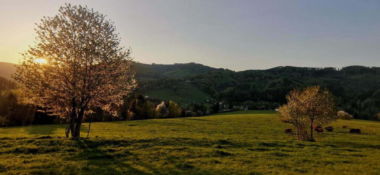 Penzion Rzehaczek Долни-Ломна Экстерьер фото